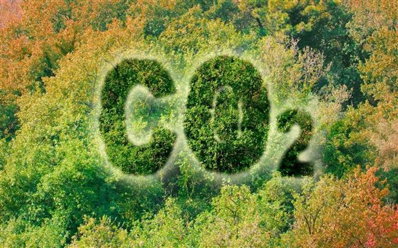 Co2 Nedir? Ne İşe Yarar?